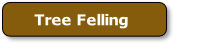 felling1.jpg